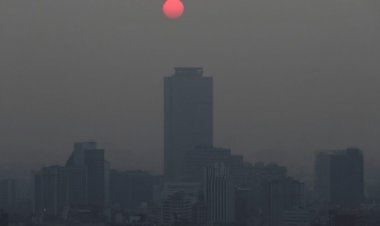 Degradación ambiental le costó a México 55 mil mdd