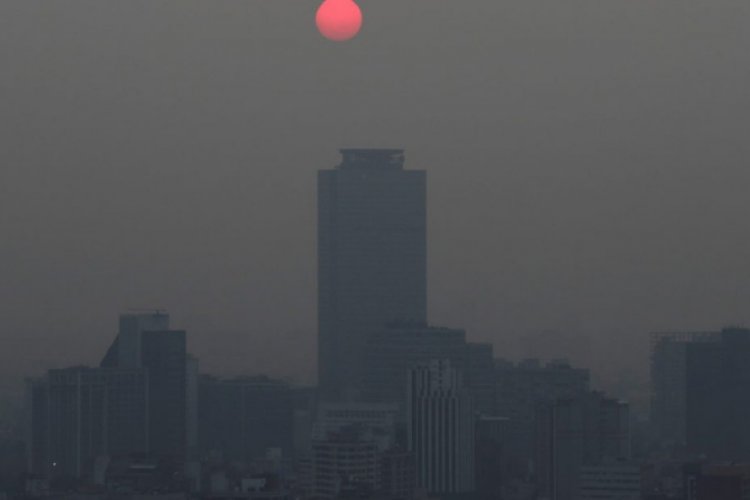 Degradación ambiental le costó a México 55 mil mdd