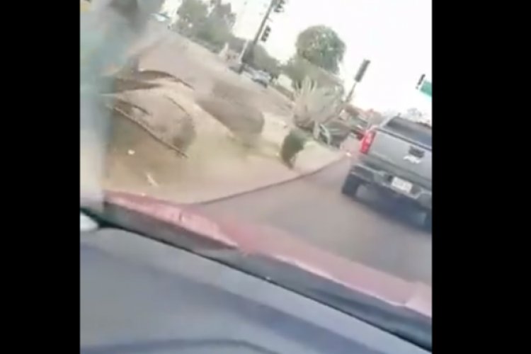 Conductor encañona a mujer en plena avenida