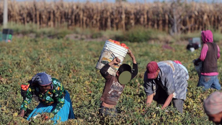 La esclavitud aún existe y está presente en México