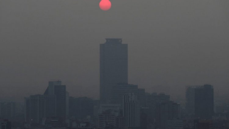 Degradación ambiental le costó a México 55 mil mdd