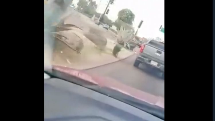 Conductor encañona a mujer en plena avenida