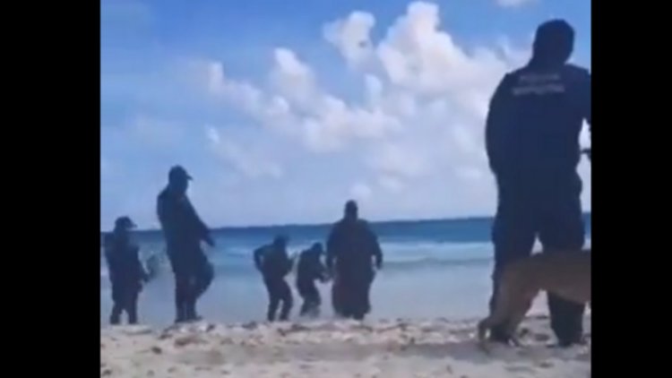 Detienen a hombre por pasear a su perro en la playa