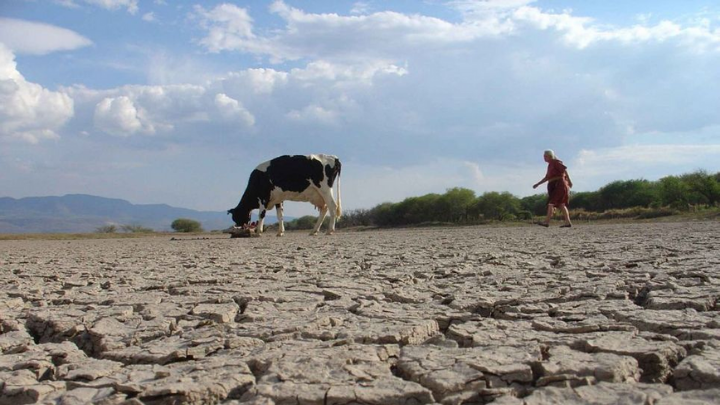 En México cae 27% disponibilidad de agua y el campo lo sufre