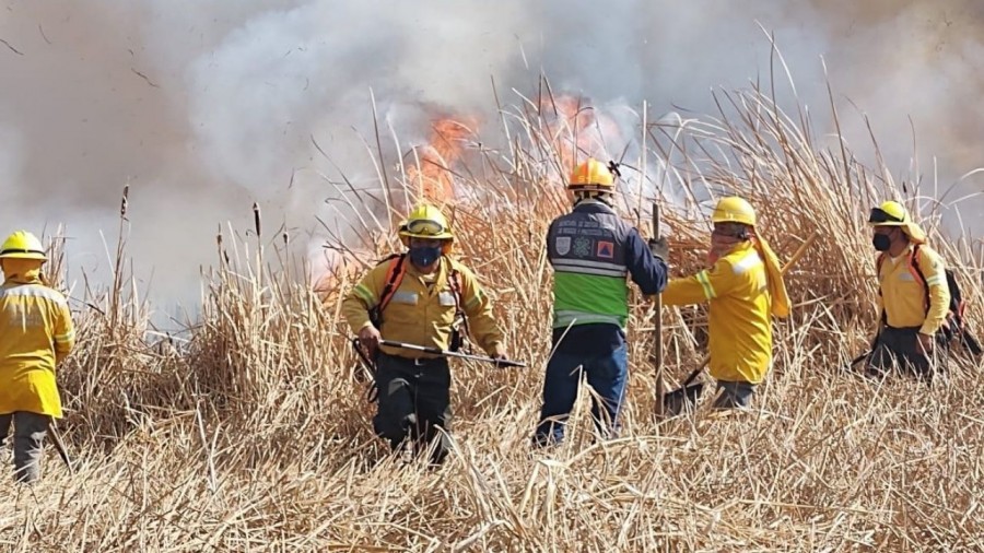 Reportan incendio en el Parque Ecológico de Xochimilco