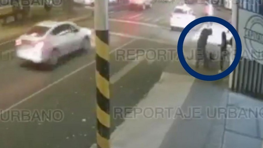 Hombre asesinó a perro callejero con arma de fuego