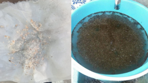 Negra, así les llega el agua potable