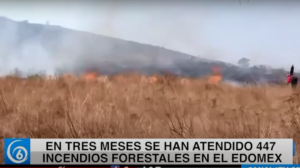 En tres meses se han atendido 447 incendios forestales en el EDOMEX