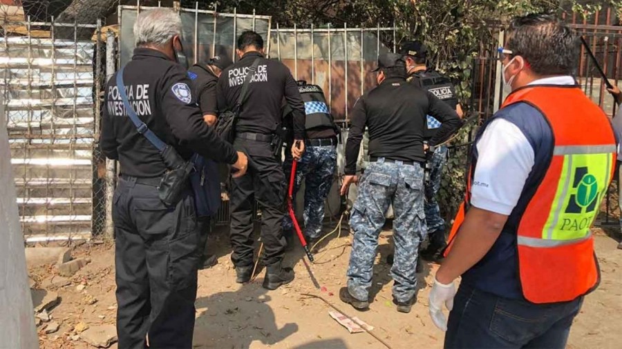 Así rescataron a 26 perros maltratados en Iztapalapa