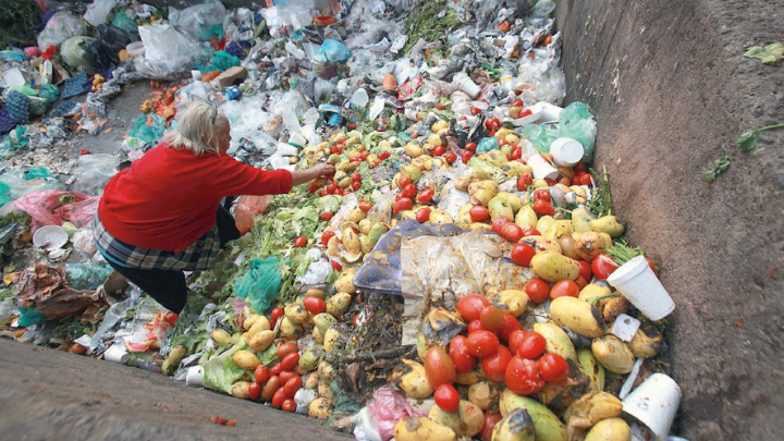 Anualmente, cada mexicano tira 158 kilos de comida a la basura