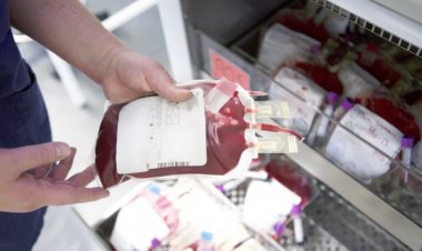 Iniciará IMSS sistema de banco de sangre