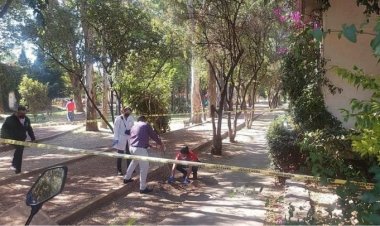 Hallan cráneo en plena calle en Tlalpan