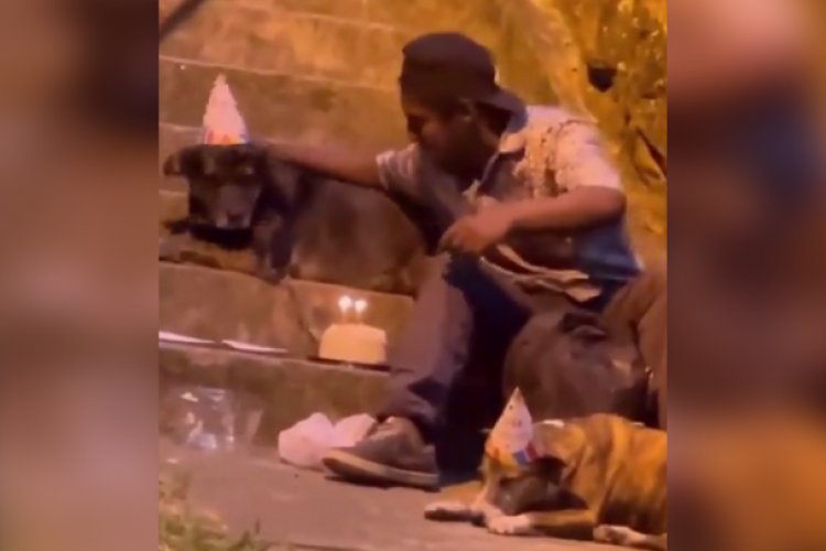 Hombre en situación de calle celebra cumpleaños de perritos