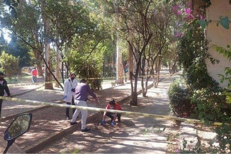 Hallan cráneo en plena calle en Tlalpan