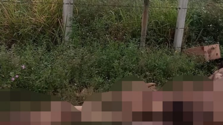 Abandonan 9 cadáveres en carretera de Veracruz