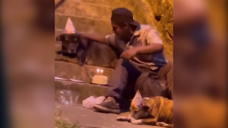 Hombre en situación de calle celebra cumpleaños de perritos