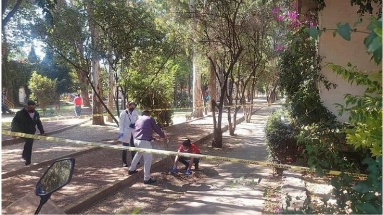 Hallan cráneo en plena calle en Tlalpan