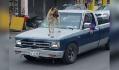 Así pasearon a perro en Cadereyta, NL