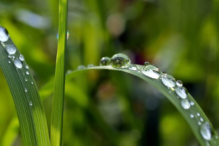 Pronostican lluvias aisladas en Edomex