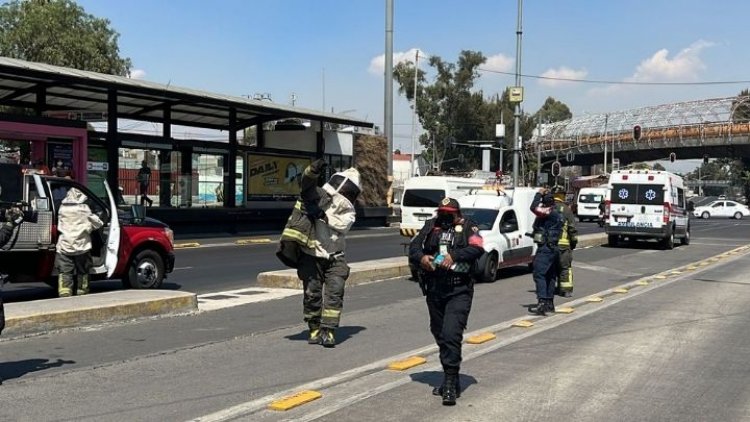 Abejas al ataque en metrobús de la CDMX