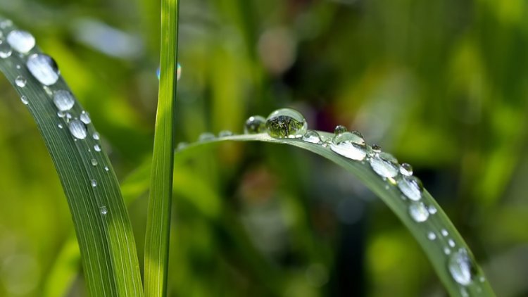 Pronostican lluvias aisladas en Edomex