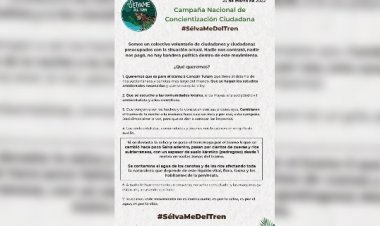 Utilizaron a famosos en campaña contra Tren Mayo: AMLO