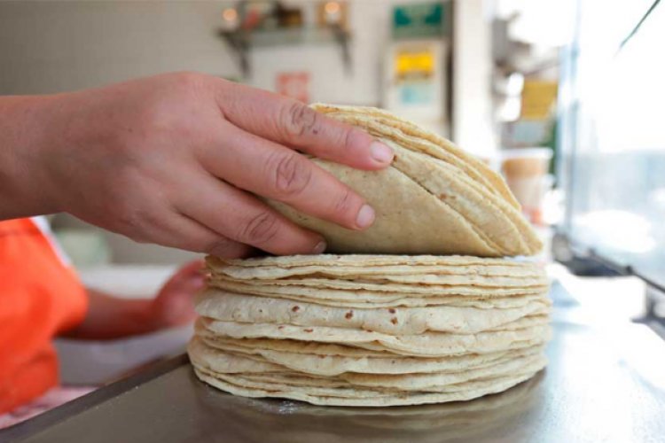 ¡No otra vez! Sube precio de la tortilla en EDOMEX