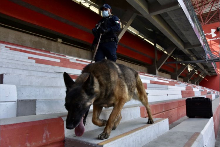 Realizarán operativo en la bombonera en Toluca