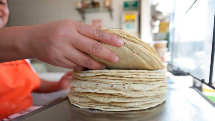 ¡No otra vez! Sube precio de la tortilla en EDOMEX