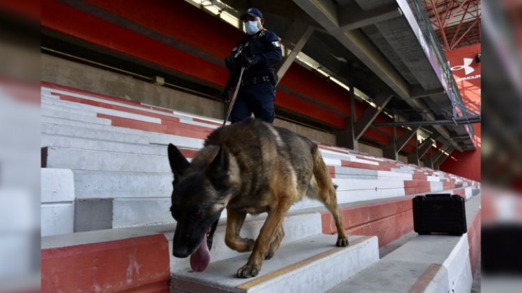 Realizarán operativo en la bombonera en Toluca