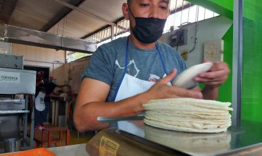 ¡Más cara todavía! Tortilla va a subir 5 pesos