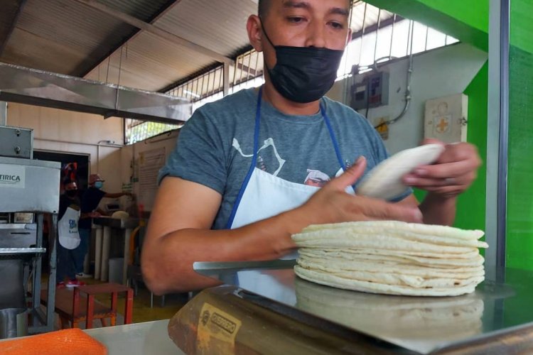 ¡Más cara todavía! Tortilla va a subir 5 pesos