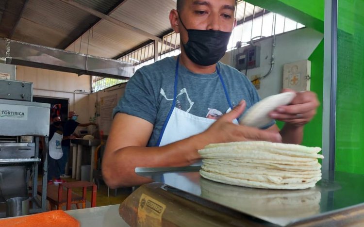 ¡Más cara todavía! Tortilla va a subir 5 pesos