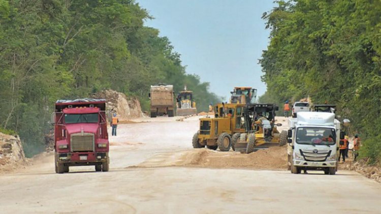 Juzgado en Yucatán frena obras del Tramo 5 del Tren Maya