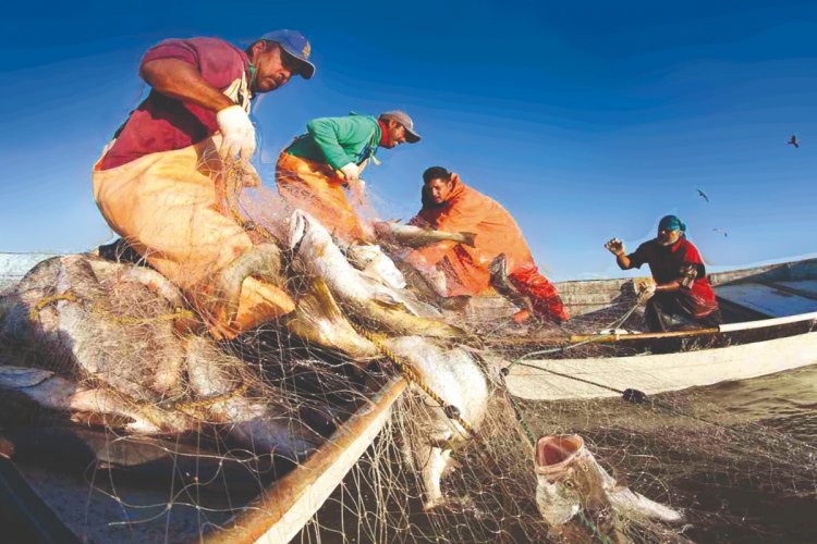 Pesqueros de balsas en el olvido