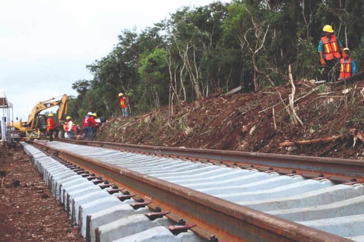 Tren Maya devastación ambiental y pobreza