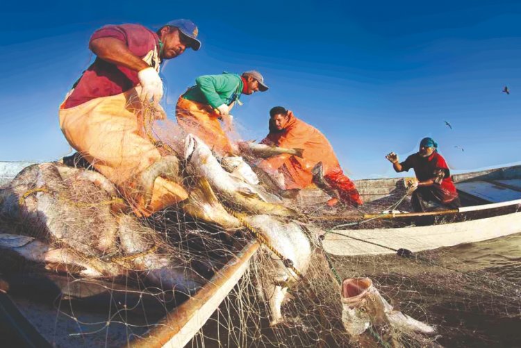 Pesqueros de balsas en el olvido