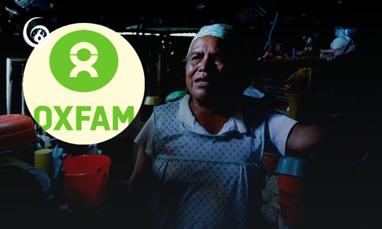Multimillonarios sacan provecho del dolor