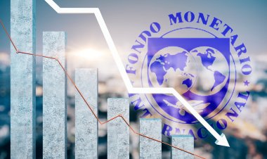 FMI prevé un panorama oscuro para la economía mundial