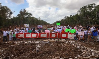 Greenpeace amplia su demanda para detener construcción del Tren Maya