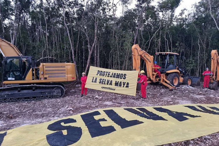 Otorgan segunda suspensión definitiva contra obras en tramo 5 del Tren Maya 