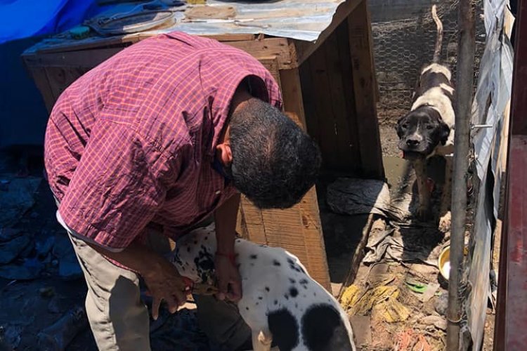PROPAEM y ayuntamiento de Chicoloapan resguardan 21 animales en presunto estado de maltrato