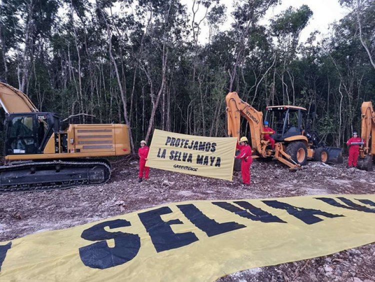 Otorgan segunda suspensión definitiva contra obras en tramo 5 del Tren Maya
