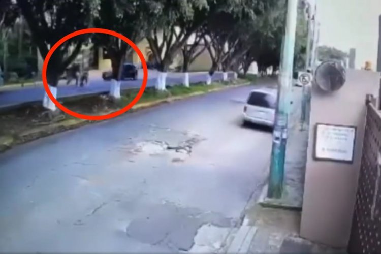 Video: Héroe anónimo evita secuestro de hombre