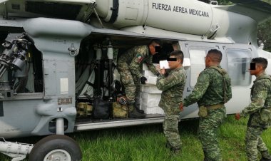 Sedena asegura avioneta con 340 kilos de cocaína