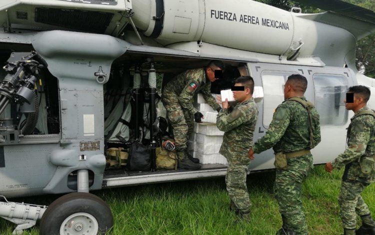 Sedena asegura avioneta con 340 kilos de cocaína