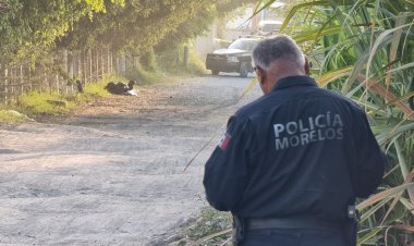 Hallan cinco cadáveres de mujeres en Cuautla