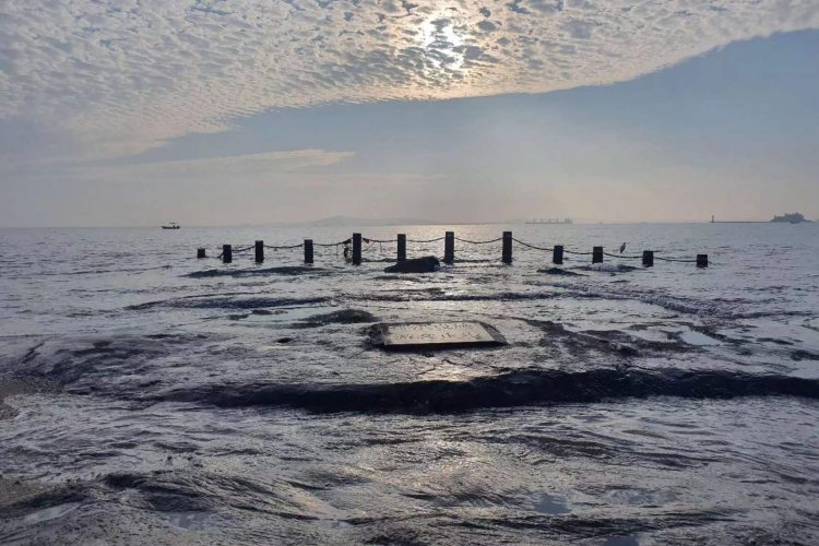 Xiamen, una perla de la “civilización ecológica” en el mar de China