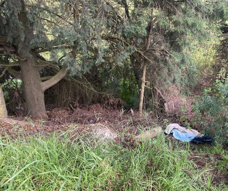Encuentran cadáver de mujer en la México-Cuernavaca