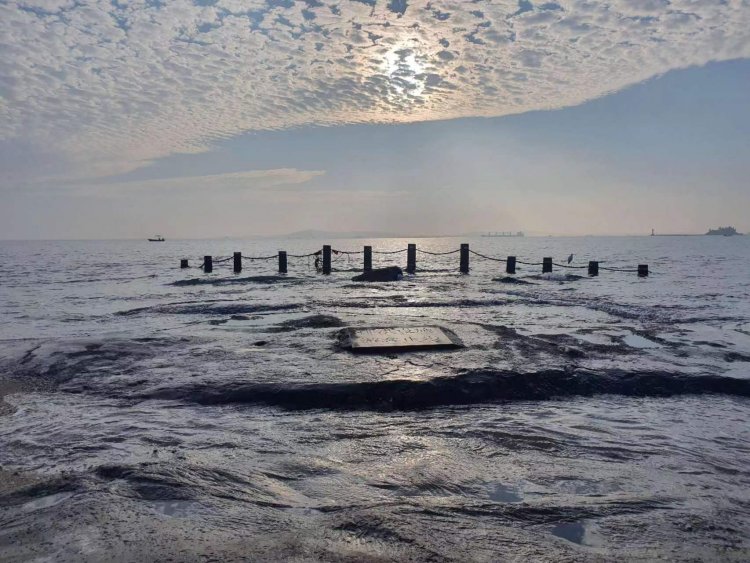 Xiamen, una perla de la “civilización ecológica” en el mar de China